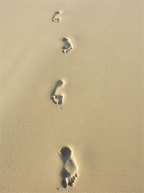 Free Footprints Stock Photo - FreeImages.com