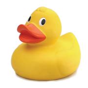 Rubber Duck PNG Image File - PNG All | PNG All