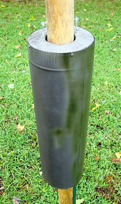 Bird Feeder Baffles and Bird House Pole Predator Guards Deter Squirrels, Raccoons, Snakes From ...