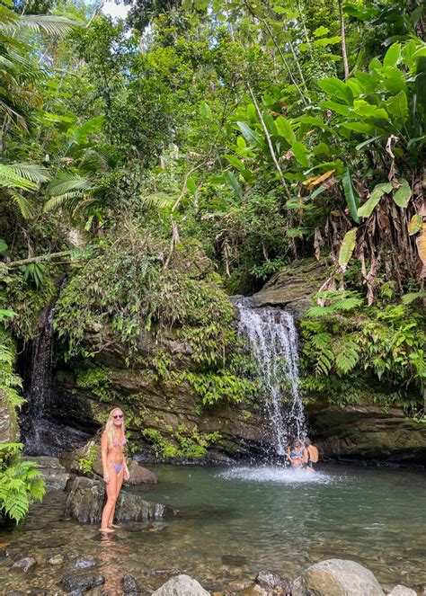 Visiting El Yunque National Forest: Everything You Need To Know ...