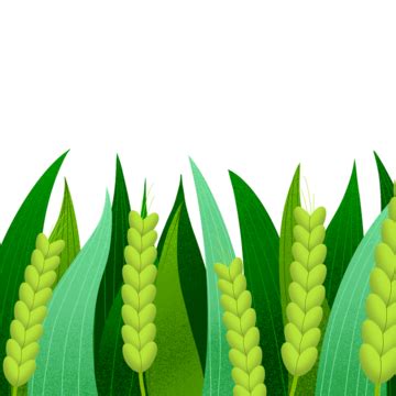 Vector Illustration Of Wheat Ears Adorned With A Red Ribbon Vector, Ribbon, Leaf, Beer PNG and ...