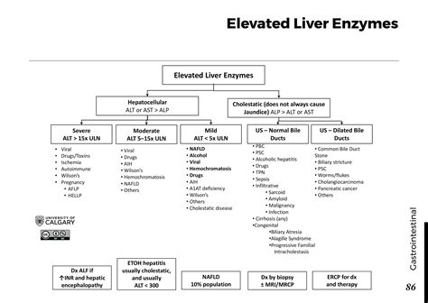 ELEVATED LIVER ENZYMES - Blackbook : Blackbook