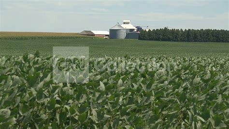 IOWA FARMS CORN - YouTube