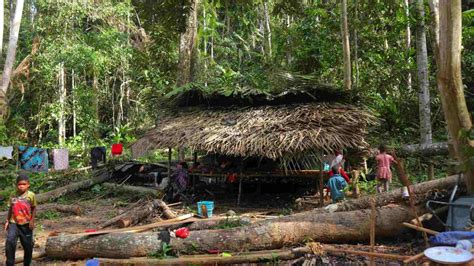 To meet Orang Asli- the most ancient people in Peninsular Malaysia