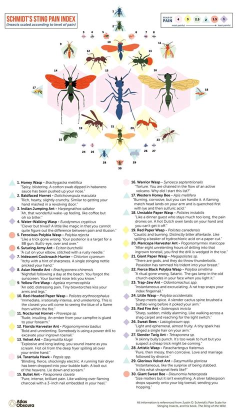 Visual : The Schmidt Pain Index (Sting Pain Guide) - Infographic.tv ...