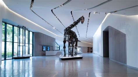 Cleveland Museum of Natural History opens visitor hall | blooloop