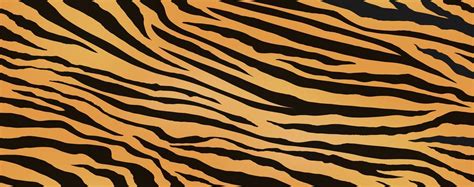 Tiger Skin Vector Art, Icons, and Graphics for Free Download