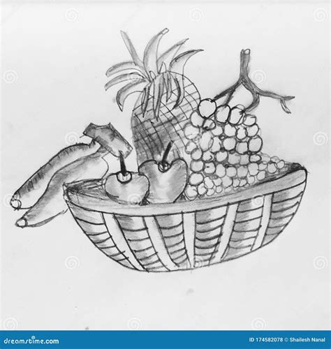 Fruit Basket sketch stock photo. Image of traditional - 174582078