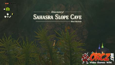 Tears of the Kingdom: Sahasra Slope Cave - Orcz.com, The Video Games Wiki