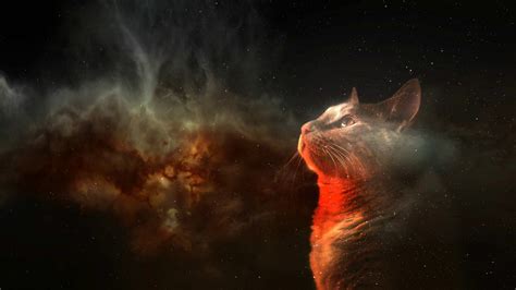 Cat in Space: A Stunning HD Wallpaper Artistry