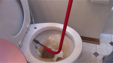 How To Unclog A Toilet With A Snake