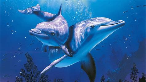 Ocean Animals, Sea Animal PC HD wallpaper | Pxfuel