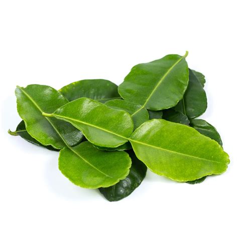 Kaffir Lime Leaves | Sabel Group