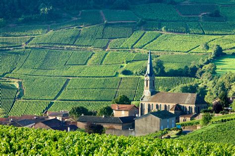 Burgundy ( Bourgogne ). A voyage to Burgundy, France, Europe - Dijon, Chalon-sur-Saône, Nevers ...