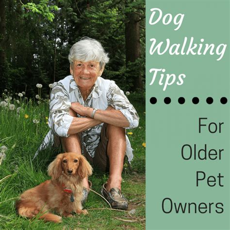 Dog Walking Tips - SeniorAdvisor.com Blog