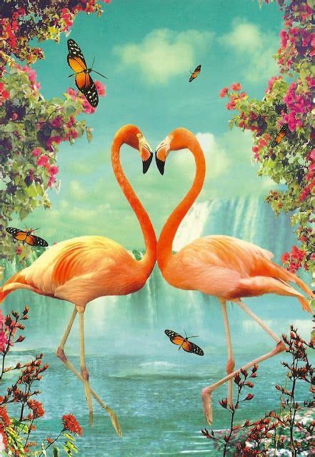 Flamingo heart postcard. | PINK FLAMINGOS | Pinterest | Flamingo