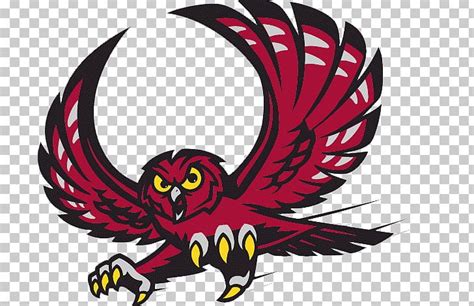 2017–18 Temple Owls Men's Basketball Team Temple Owls Football Temple University PNG, Clipart ...