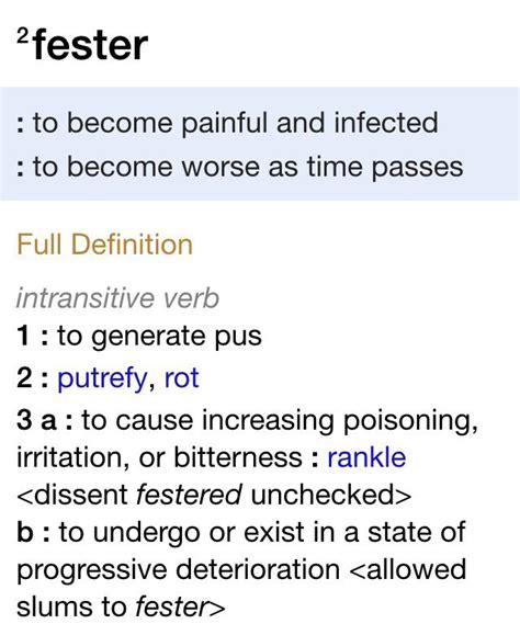 Fester Intransitive Verb, Full Definition, Slums, English Vocabulary ...