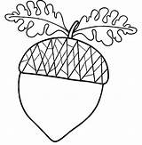 Acorn With Oak Leaf Coloring Pages  coloring Page sketch template