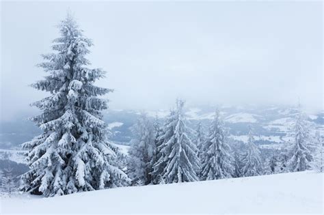 Premium Photo | Winter landscape with snowy fir trees