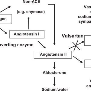 Mechanism of action of valsartan. Abbreviations: ACE, angiotensin ...