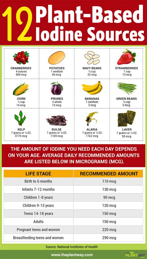 12 Vegan Sources of Iodine (Infographic)