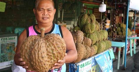 Davao durian farms to supply China with Puyat variety | Philippine News Agency