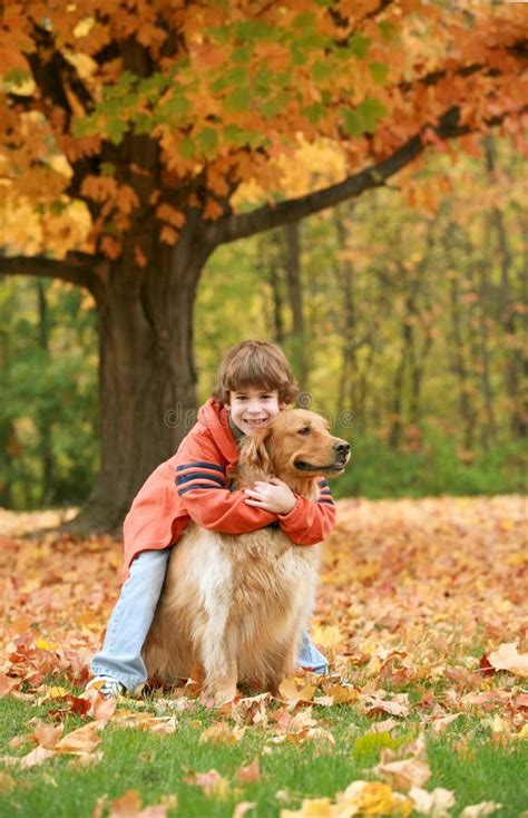 Boy Hugging Golden Retriever Stock Image - Image of cheerful, happy ...