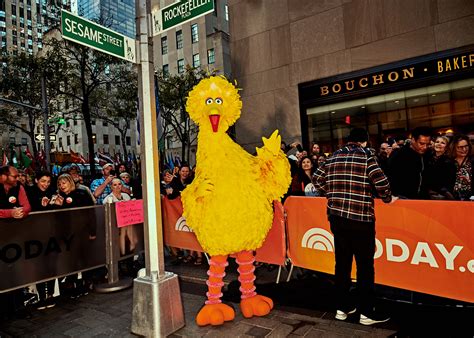 Big Bird Is Still Making Friends Everywhere He Goes | TIME