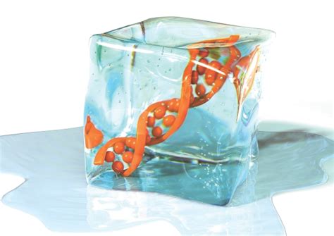 Top 5 Facts: Cryogenics | How It Works Magazine