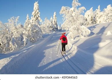 Woman Cross Country Skiing Lapland Finland Stock Photo 459344563 | Shutterstock