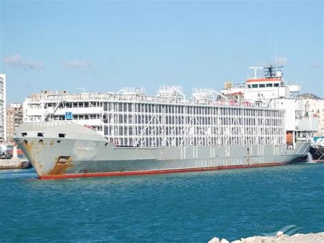 GULF LIVESTOCK 1, Livestock Carrier - Details and current position ...