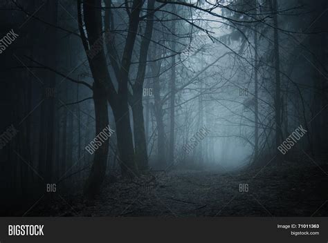 Deep Dark Woods Fog Night On Image & Photo | Bigstock