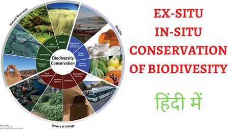 Understanding Insitu & Exsitu Modes of Biodiversity Conservation - YouTube