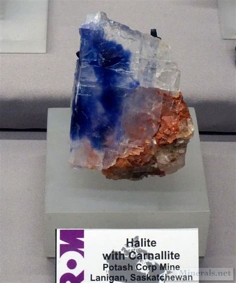 Blue Halite with Carnallite from the Potash Corp Mine, Lanigan, Sakatchewan, Canada | Crystals ...