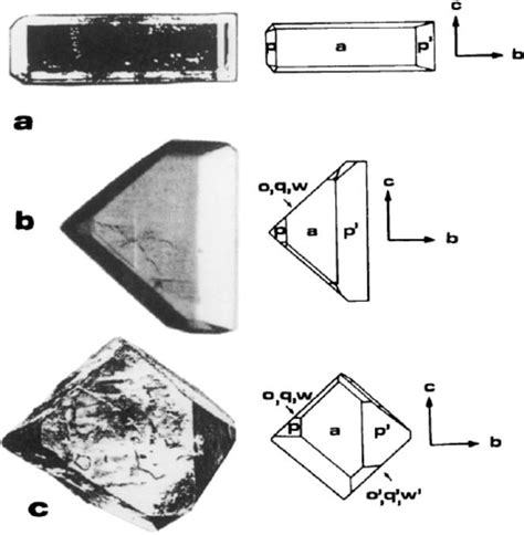 Sucrose crystals grown in the presence of: (a) raffinose; (b,c ...