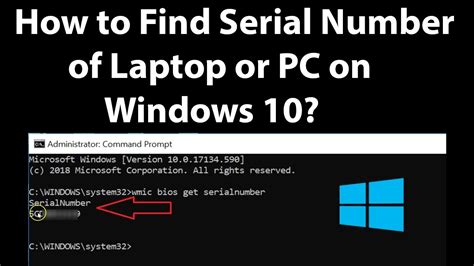 How to find your laptop serial number - bewercentury