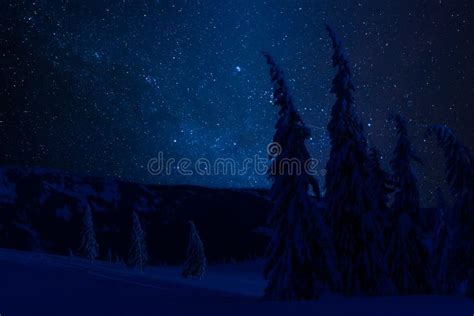 Night Landscape with Snow and Stars Stock Image - Image of january, fairy: 162735287