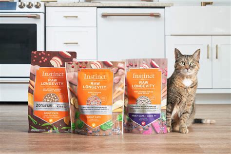 Where is Instinct Cat Food Made? - Kitty Devotees