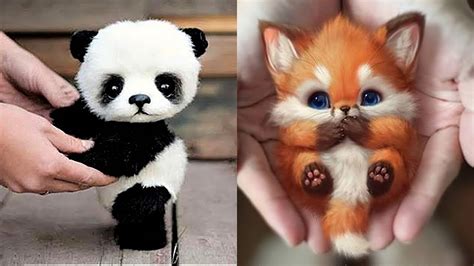 10 Cutest Baby Animals That Will Make You Go Aww Youtube - Riset