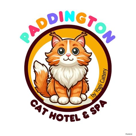 Paddington Cat Hotel & Spa | Kuantan