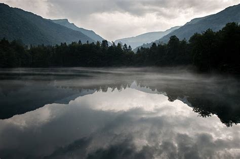 Top 60 Creepy Lake Stock Photos, Pictures, and Images - iStock