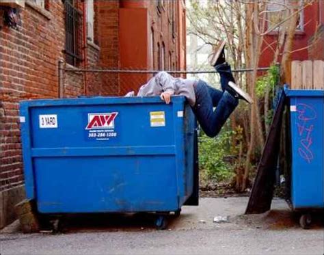 Sustainability on a Budget: How Dumpster Diving Can Help You Live a More Eco-Friendly Life ...