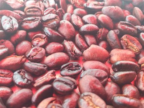 Roasted Ethiopian Arabica Coffee Stock Photo - Image of organic, arabic: 156171620