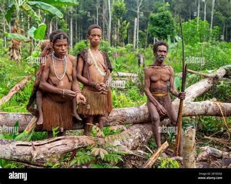 Korowai tribe family in the jungle. Tribe of Korowai (Kombai , Kolufo ...