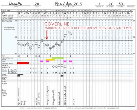 How to Fill Out Your Chart | Fertility chart, Fertility awareness method, Chart