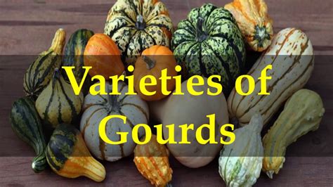 Varieties of Gourds - YouTube