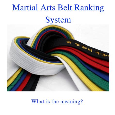 Martial Arts Belt Ranking System. What is the meaning?