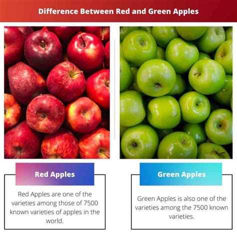 Red vs Green Apples: Difference and Comparison