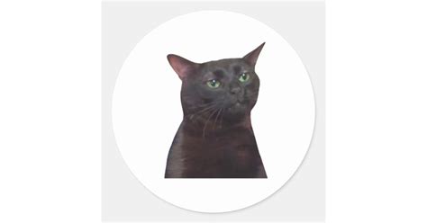 Zoned Out Cat, Black Cat Zoned Out Meme Classic Round Sticker | Zazzle